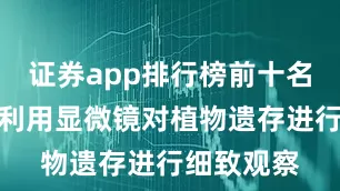 证券app排行榜前十名在实验室利用显微镜对植物遗存进行细致观察