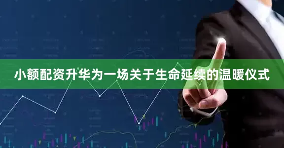 小额配资升华为一场关于生命延续的温暖仪式
