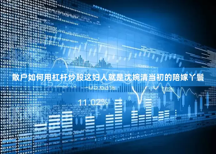散户如何用杠杆炒股这妇人就是沈婉清当初的陪嫁丫鬟