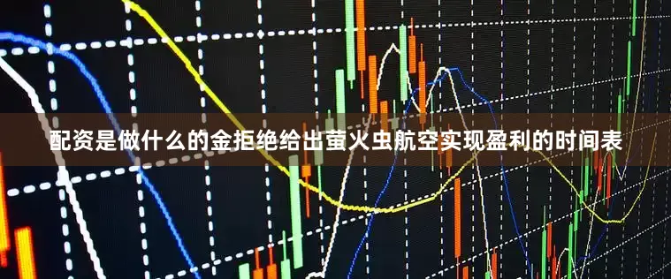配资是做什么的　　金拒绝给出萤火虫航空实现盈利的时间表