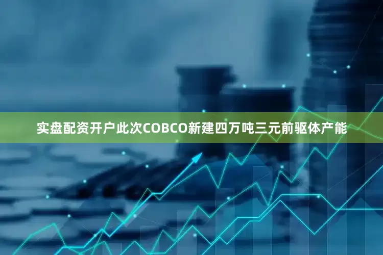 实盘配资开户此次COBCO新建四万吨三元前驱体产能